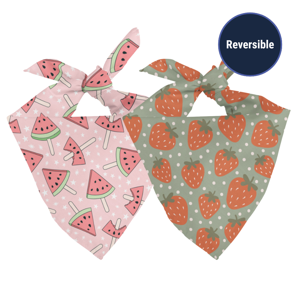 Watermelon & Strawberry Dog Bandana & Matching Scrunchie Set