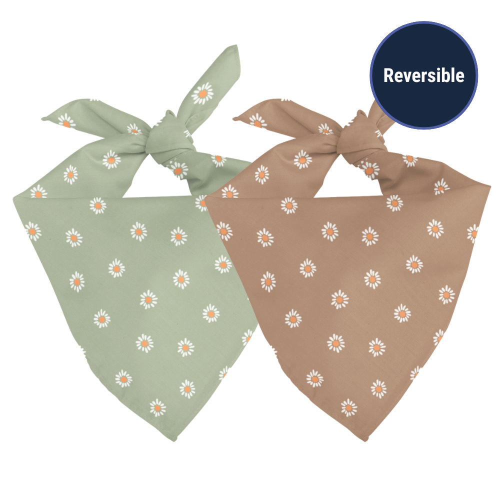 Daisy Dog Bandana & Matching Scrunchie Set
