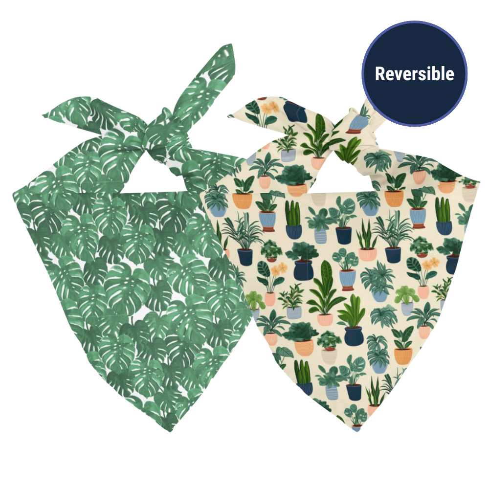 House Plant Dog Bandana