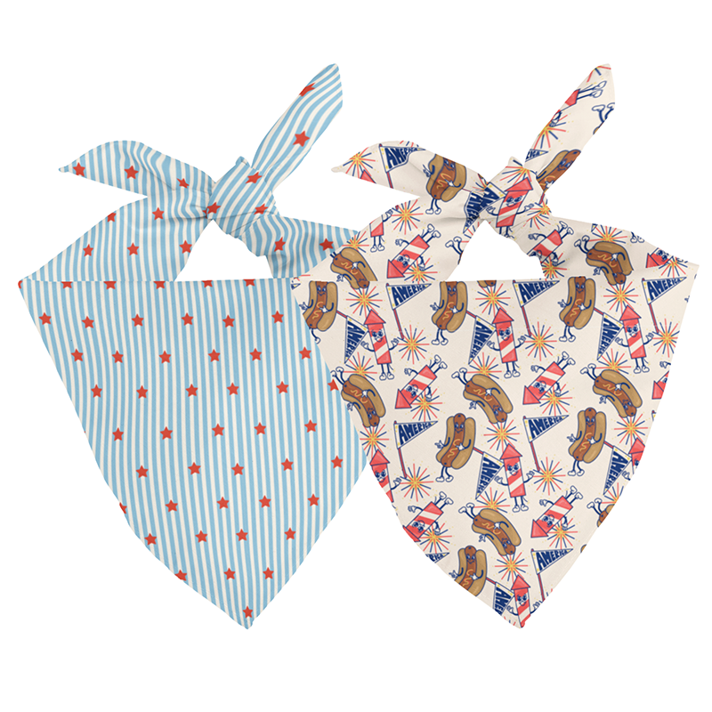 American Summer Dog Bandana & Matching Scrunchie Set