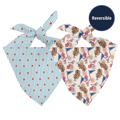 American Summer Dog Bandana & Matching Scrunchie Set