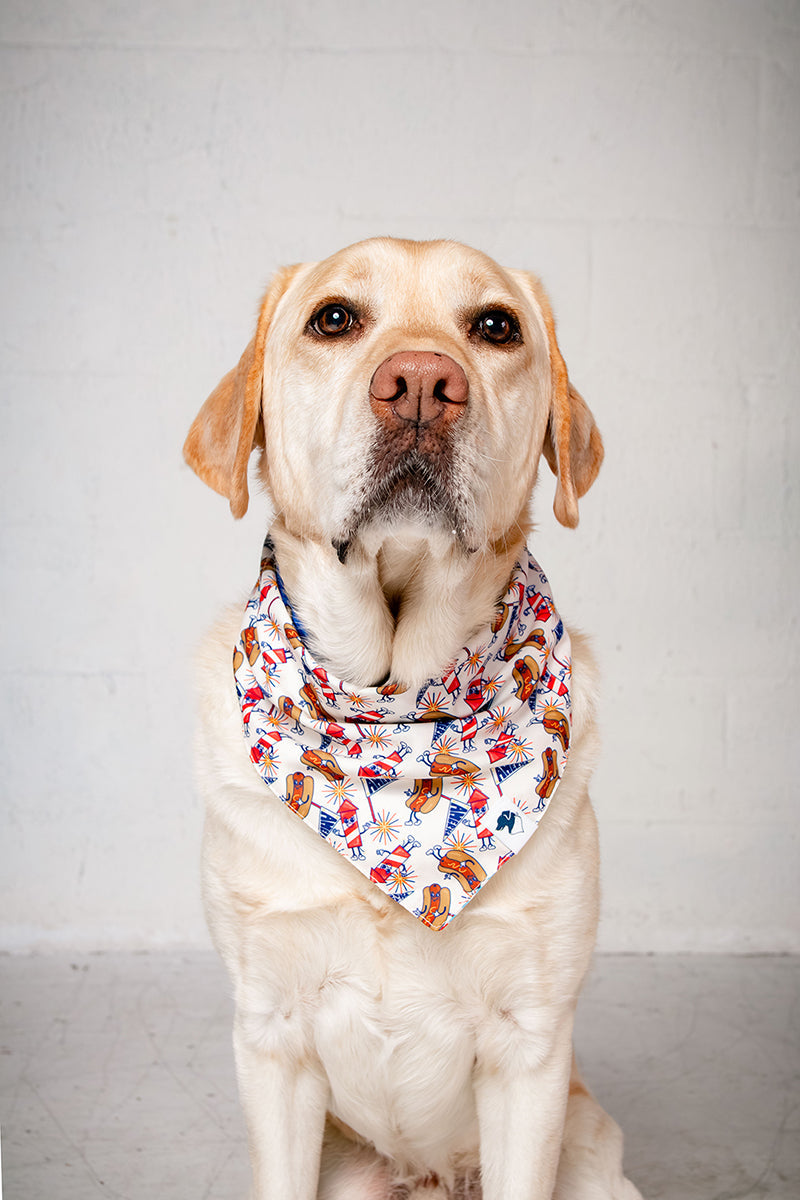 American Summer Dog Bandana & Matching Scrunchie Set