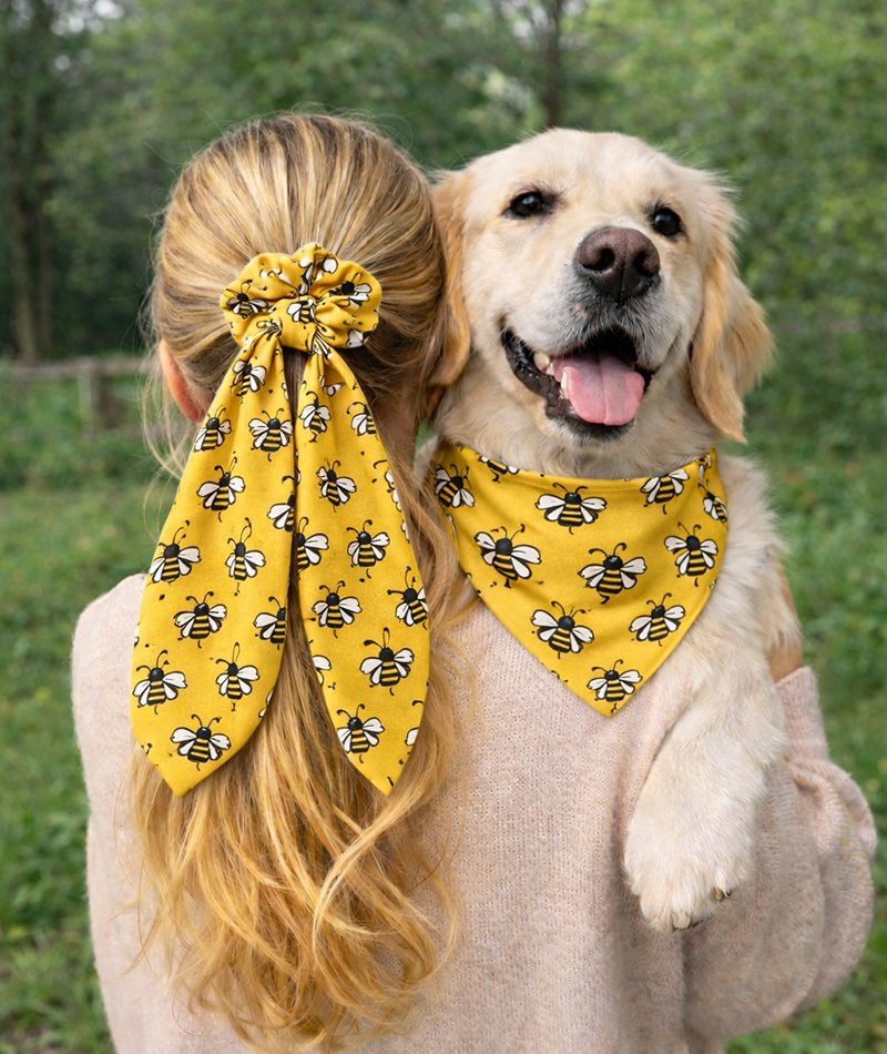 Bees & Daisy Dog Bandana & Matching Scrunchie Set