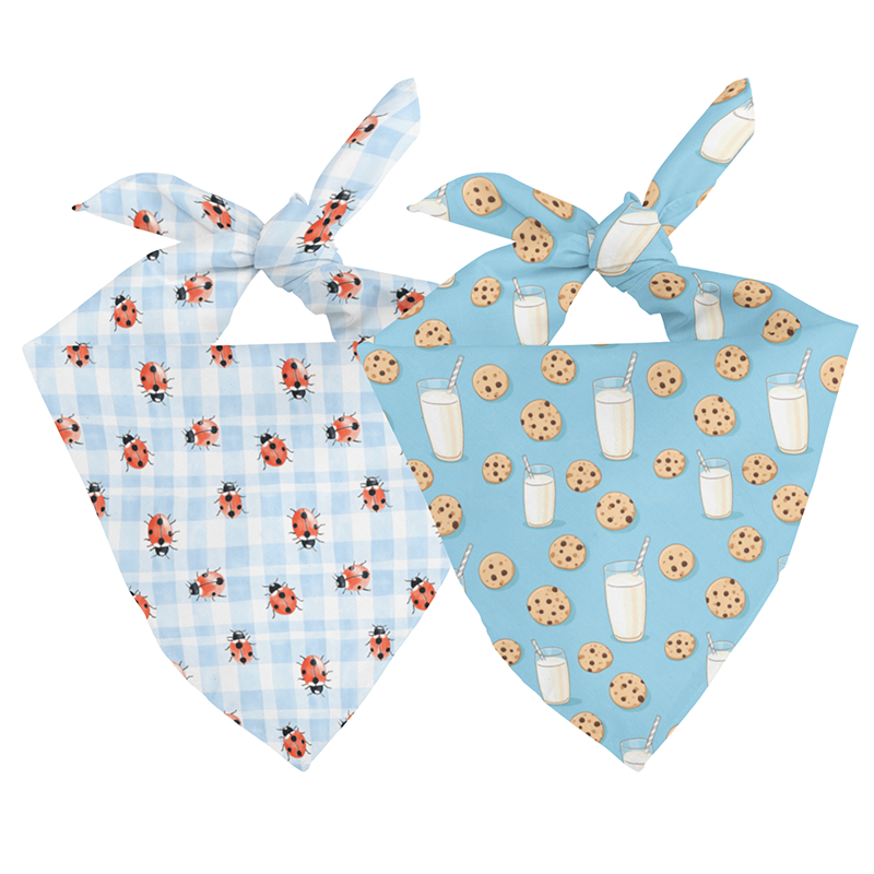 Buster's Bandana