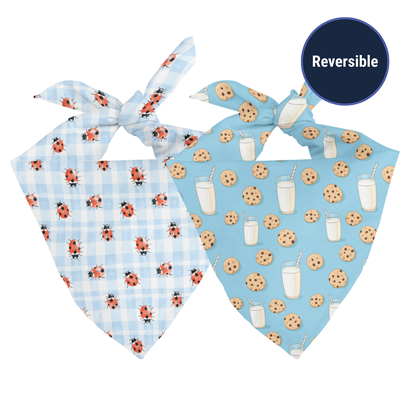 Buster's Bandana