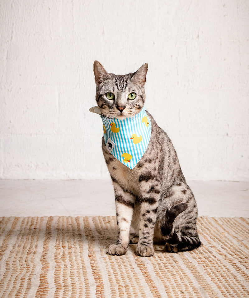 Sunny Side Dog Bandana