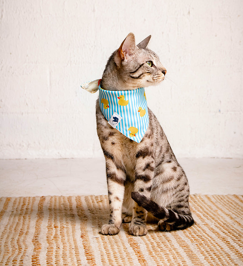 Sunny Side Dog Bandana