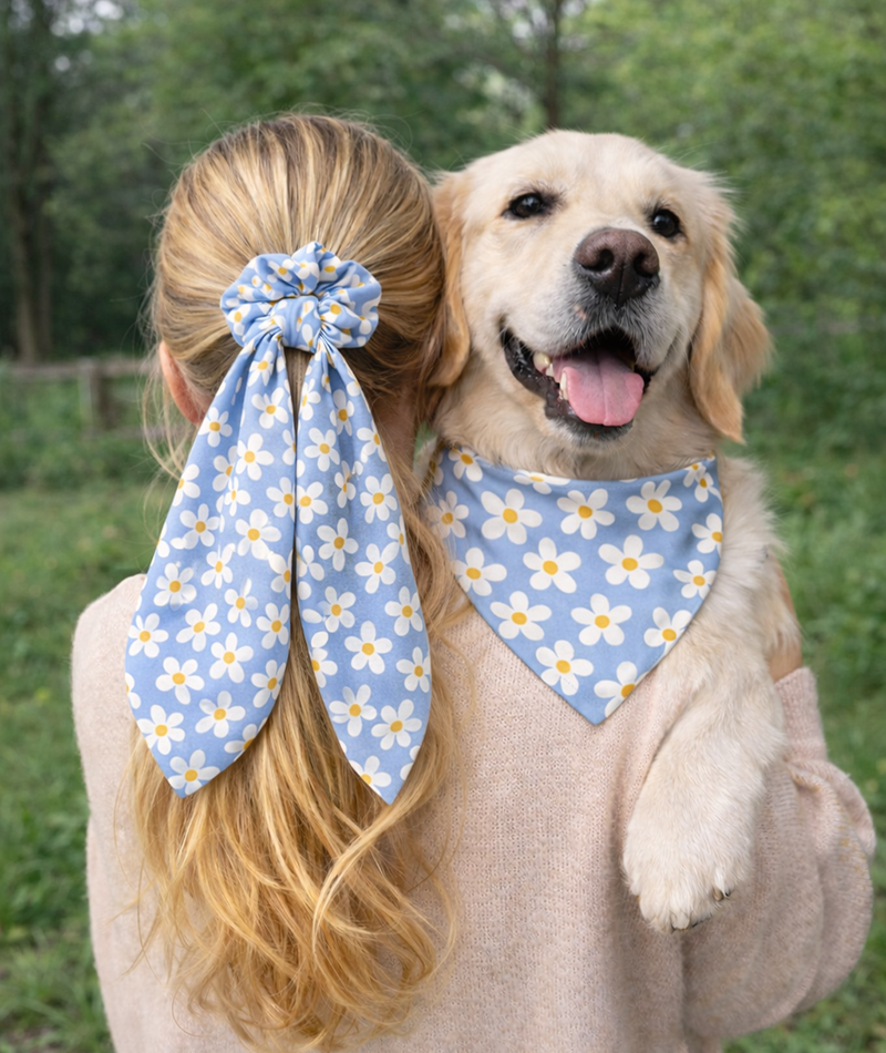 Bees & Daisy Dog Bandana & Matching Scrunchie Set