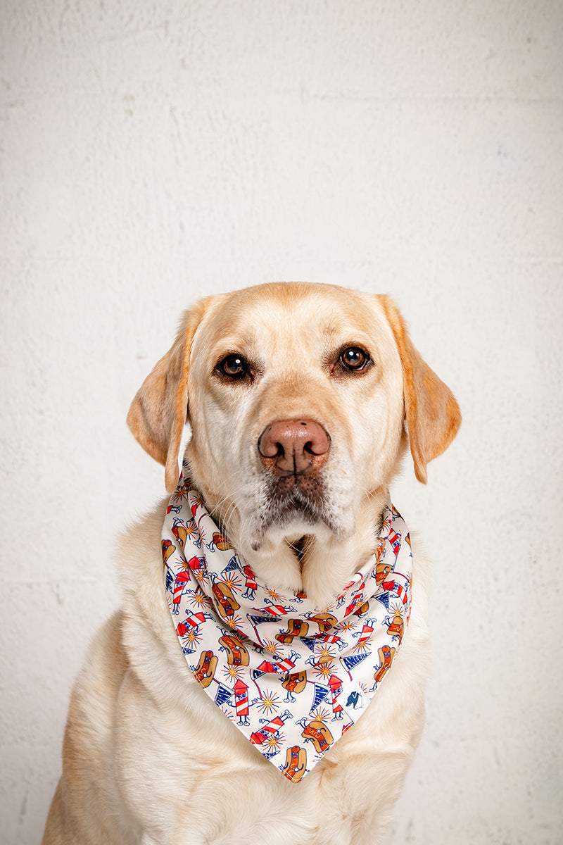 American Summer Dog Bandana & Matching Scrunchie Set