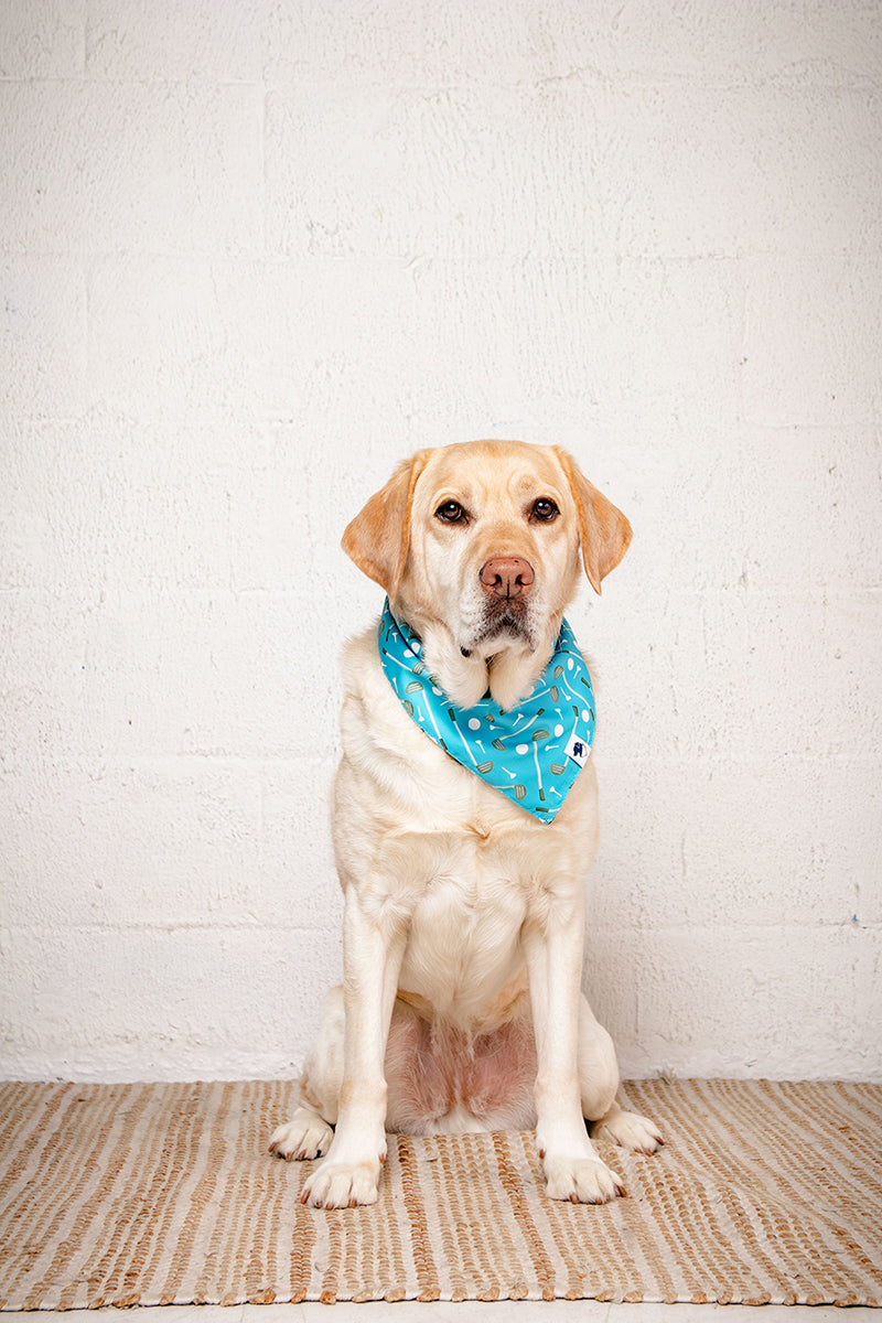 Tee Time Dog Bandana