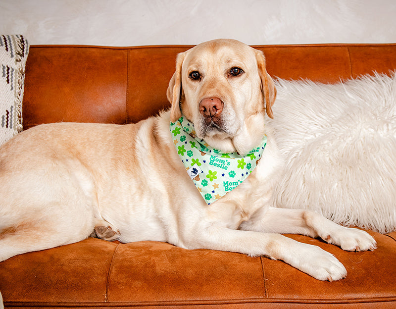 Mom's Best Friend Dog Bandana