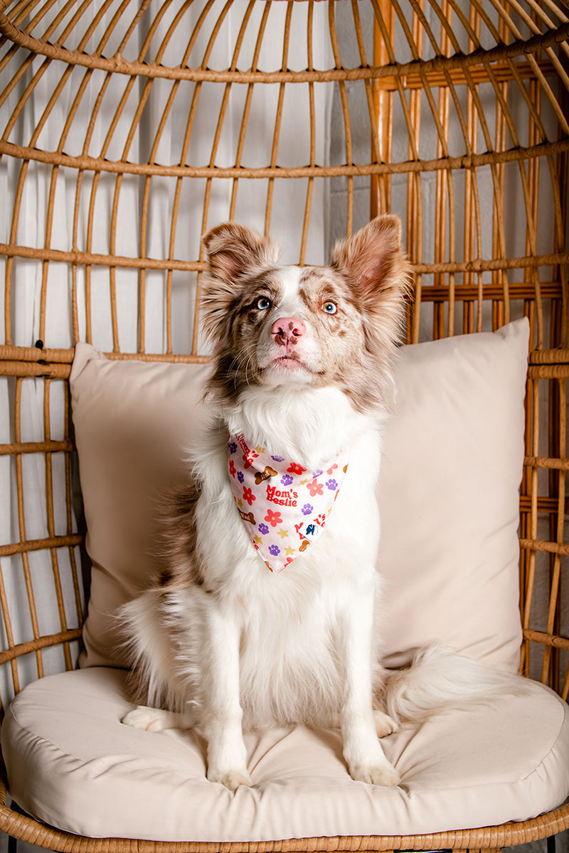 Mom's Best Friend Dog Bandana