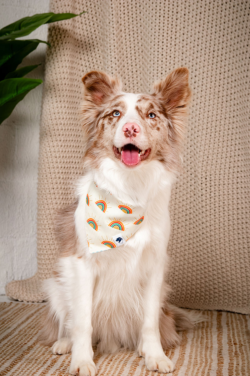 Sunny Side Dog Bandana