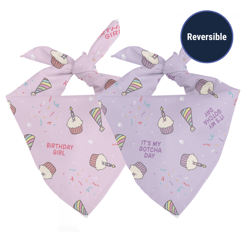 Birthday Girl & Gotcha Day Dog Bandana