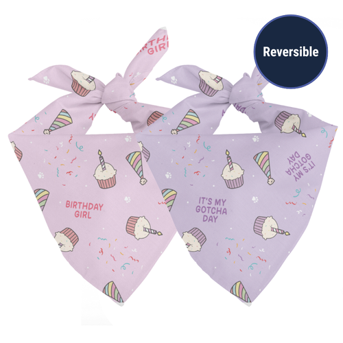 Birthday Girl & Gotcha Day Dog Bandana