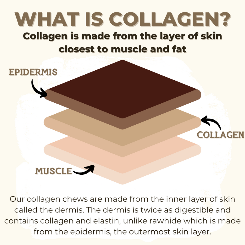 10-12 Inch Braided Collagen Stick