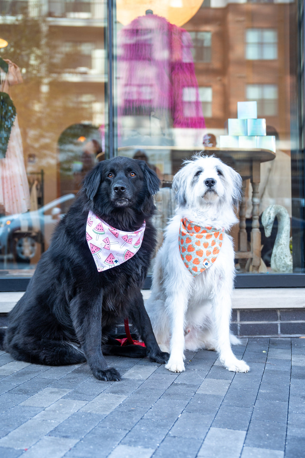 Watermelon & Strawberry Dog Bandana & Matching Scrunchie Set