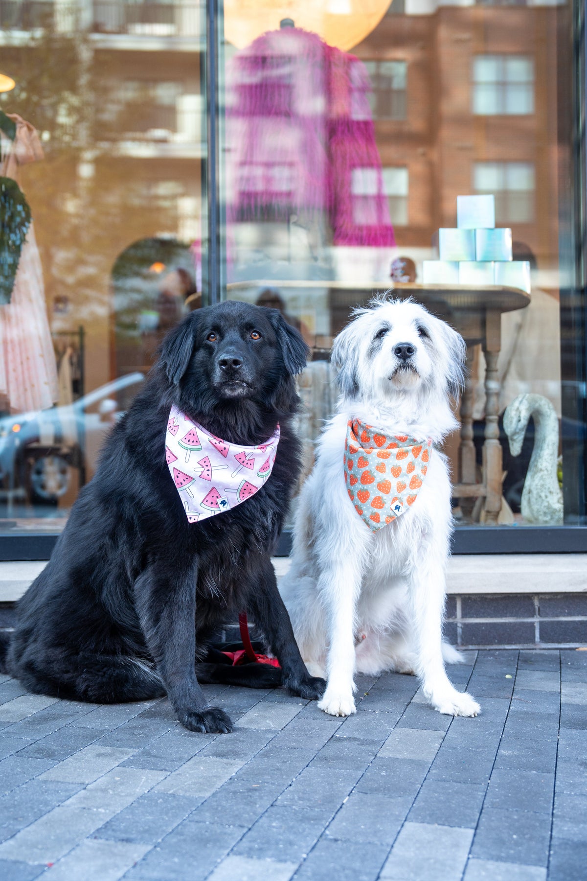 Watermelon & Strawberry Dog Bandana & Matching Scrunchie Set