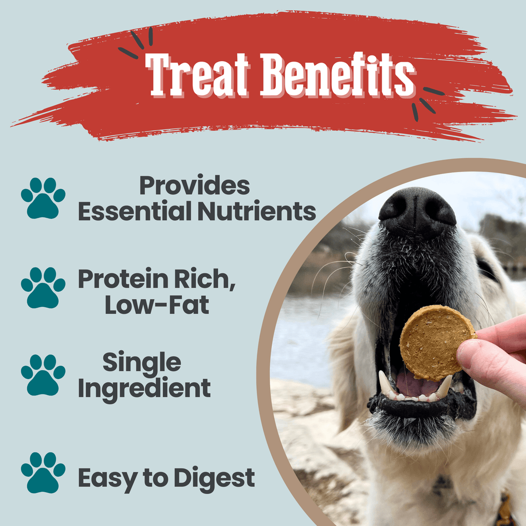 Fish Chips for Dogs | Wild-Caught Fish Dog Treats