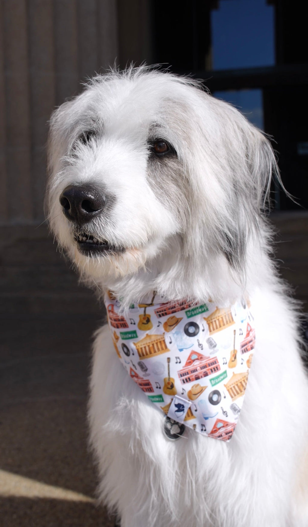 Nashville Tennessee Dog Bandana