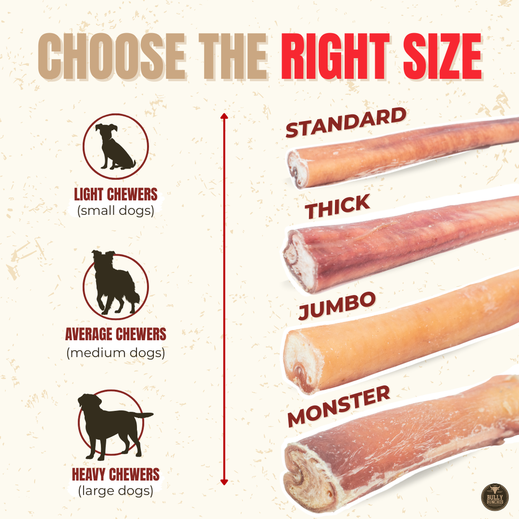 6 Inch Thick Bully Stick