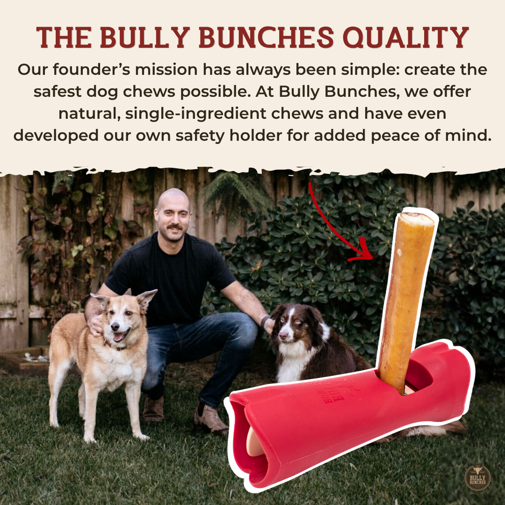 6 Inch Jumbo Braided Bully Stick