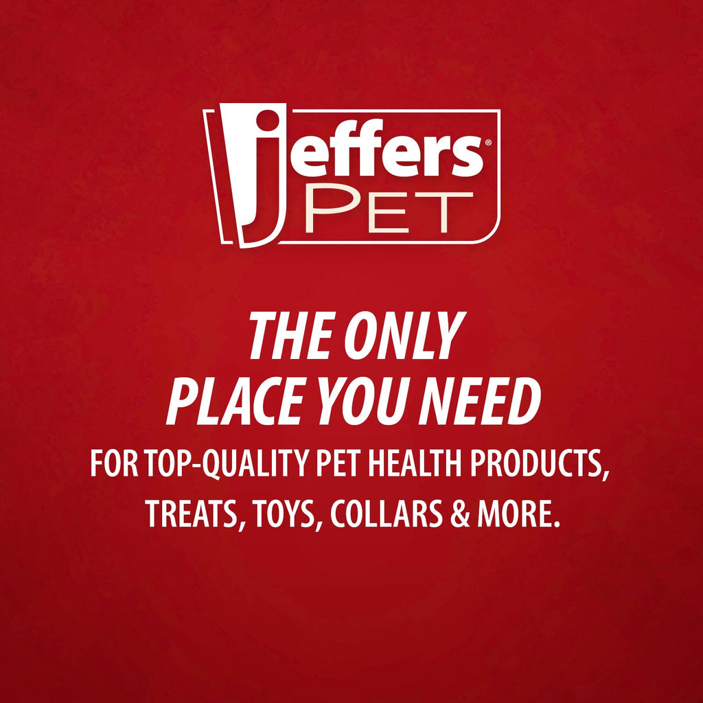 Jeffers Pet Christmas Characters Unstuffed Plush Squeaker Dog Toys, 12"L