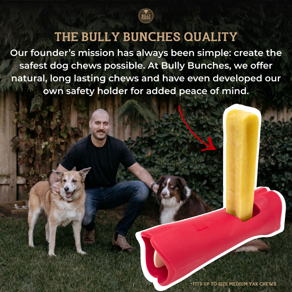 Strawberry Himalayan Yak Chew (MEDIUM)